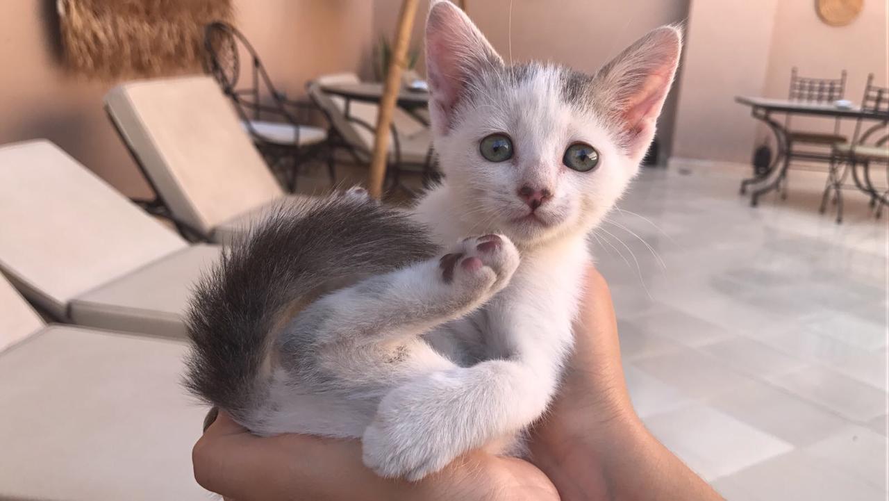 Riad Dar Nossa Marrakesh Eksteriør bilde